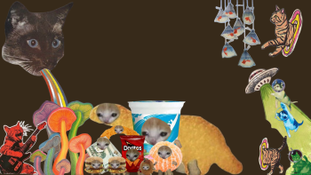 Possible Content Preview