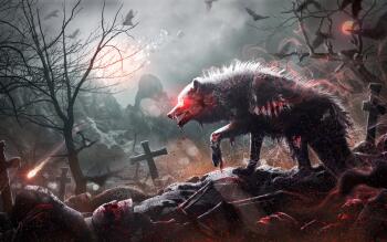 Possible Content Preview