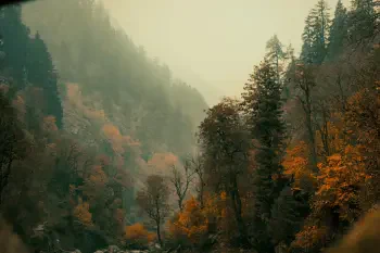 Possible Content Preview