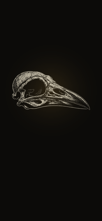 Possible Content Preview