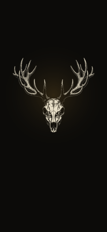 Possible Content Preview