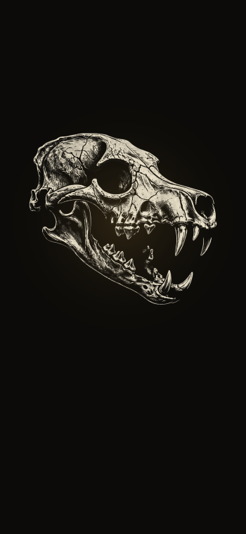 Possible Content Preview