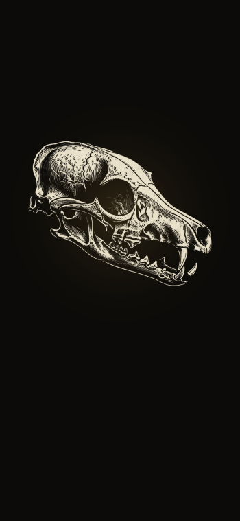 Possible Content Preview
