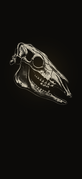 Possible Content Preview